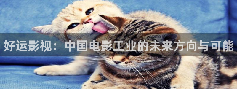 达达兔在线免费看电影